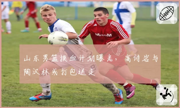 山东男篮换血计划曝光，高诗岩与陶汉林或打包送走