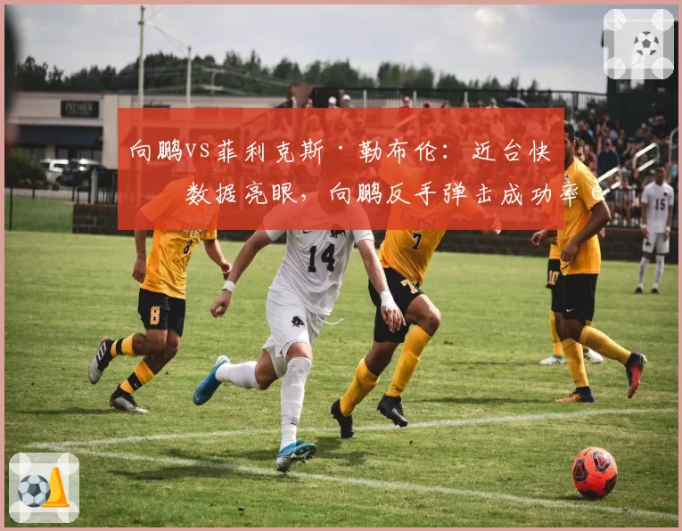 向鹏vs菲利克斯·勒布伦：近台快攻数据亮眼，向鹏反手弹击成功率超八成