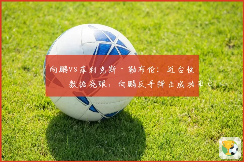 向鹏vs菲利克斯·勒布伦：近台快攻数据亮眼，向鹏反手弹击成功率超八成