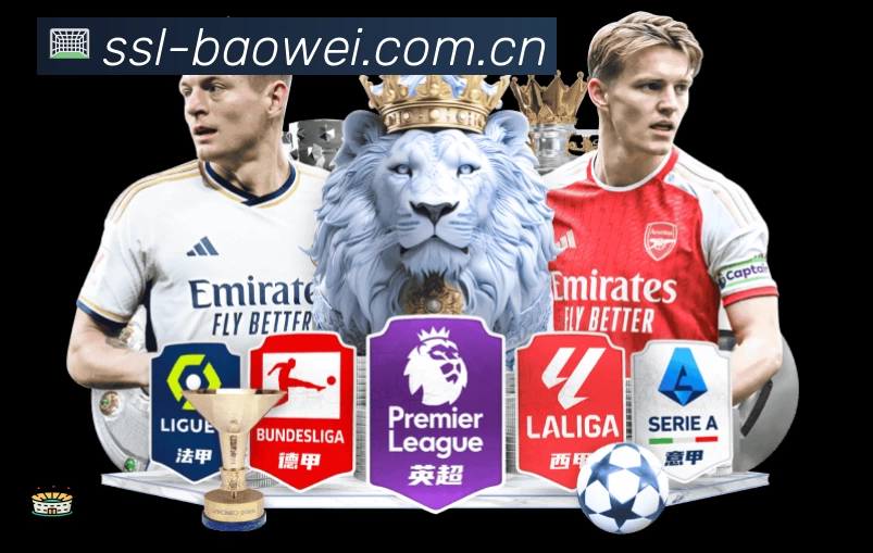 宝威体育官网快速通道站内搜索增强